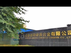 Η εταιρεία μας είναι ο επαγγελματίας κατασκευαστής όλων των ειδών καρβιδίων από το 2007.